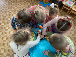 Огород на подоконнике.