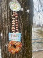 Эколята- друзья пернатых.